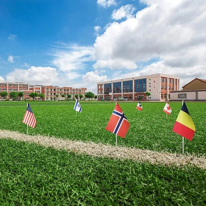 World Cup Mini Hand Flags
